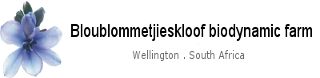 Bloublommetjieskloof logo